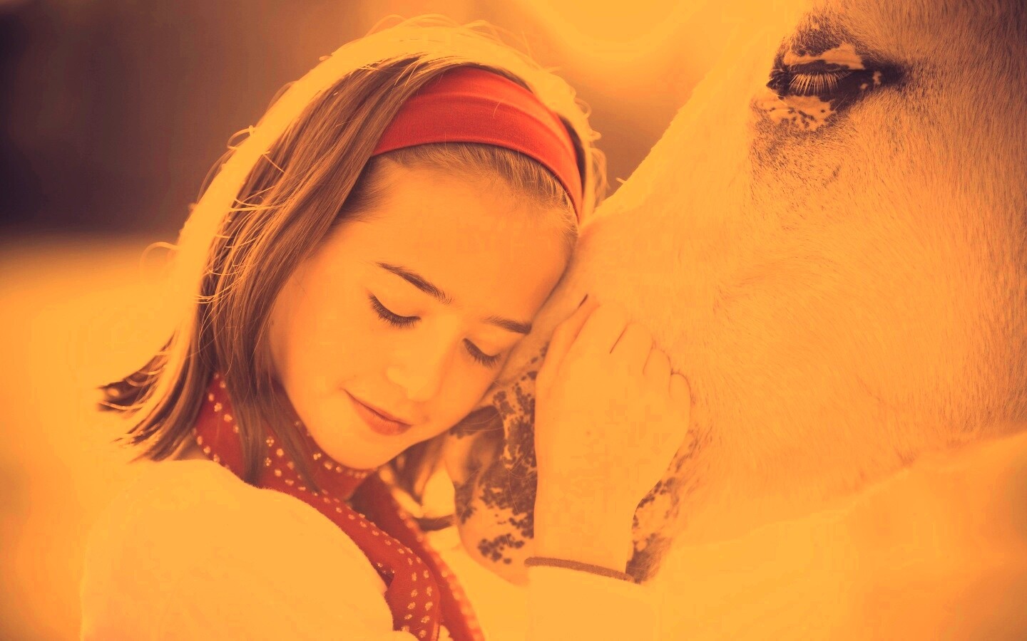 Девочка и лошадь обои