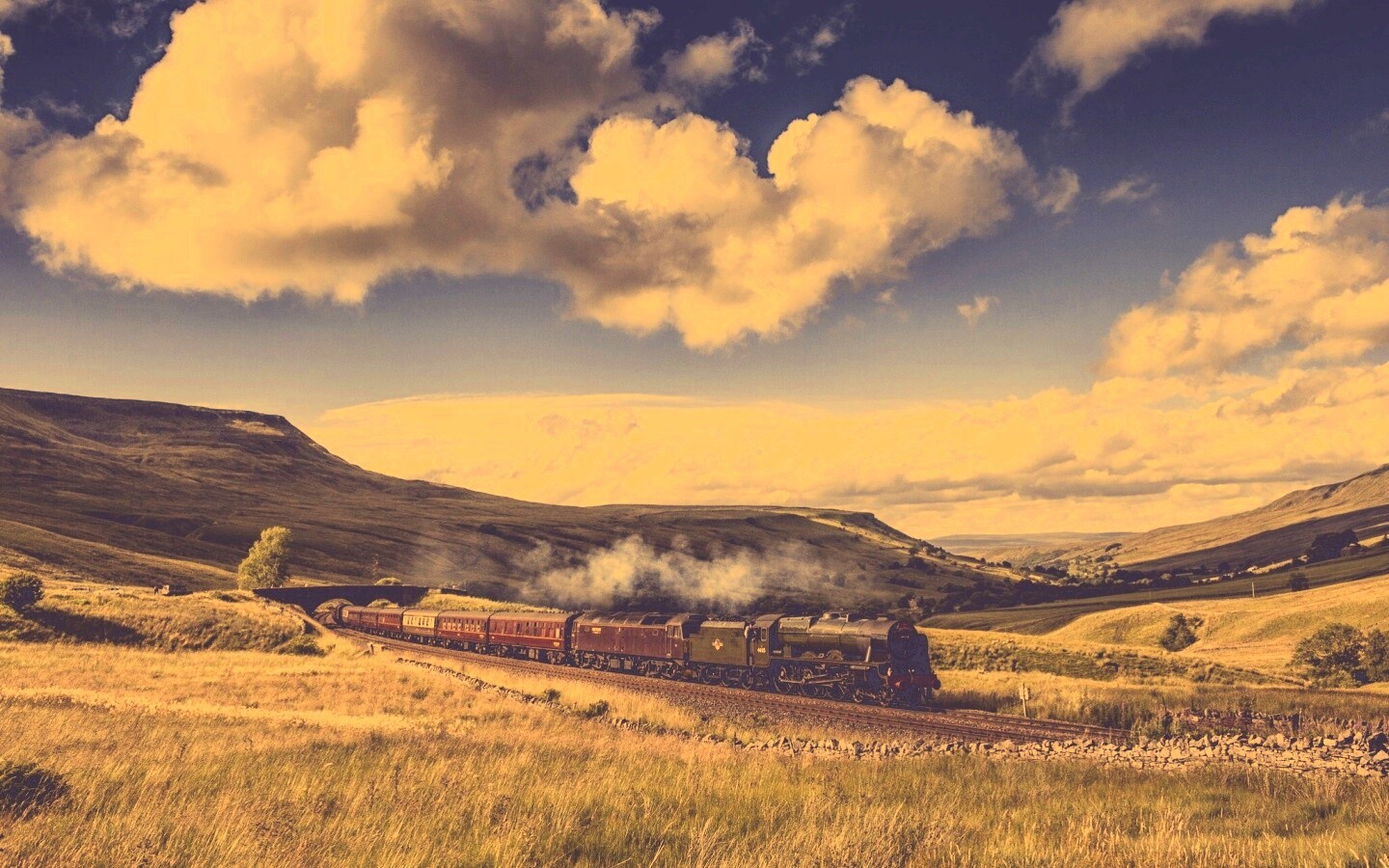 Поезд в долине обои