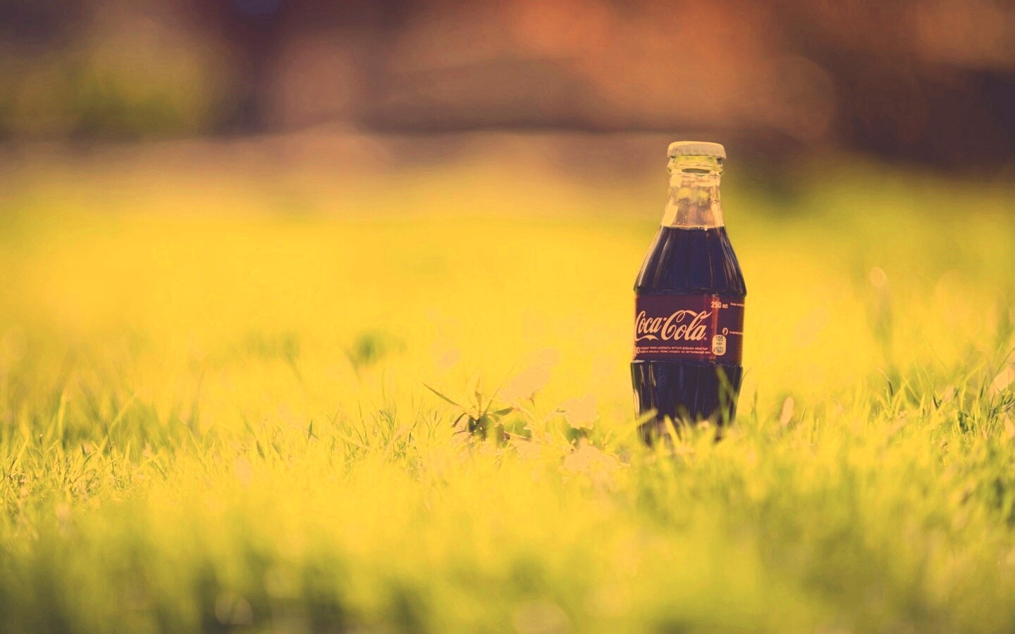 Кока-Кола на траве обои