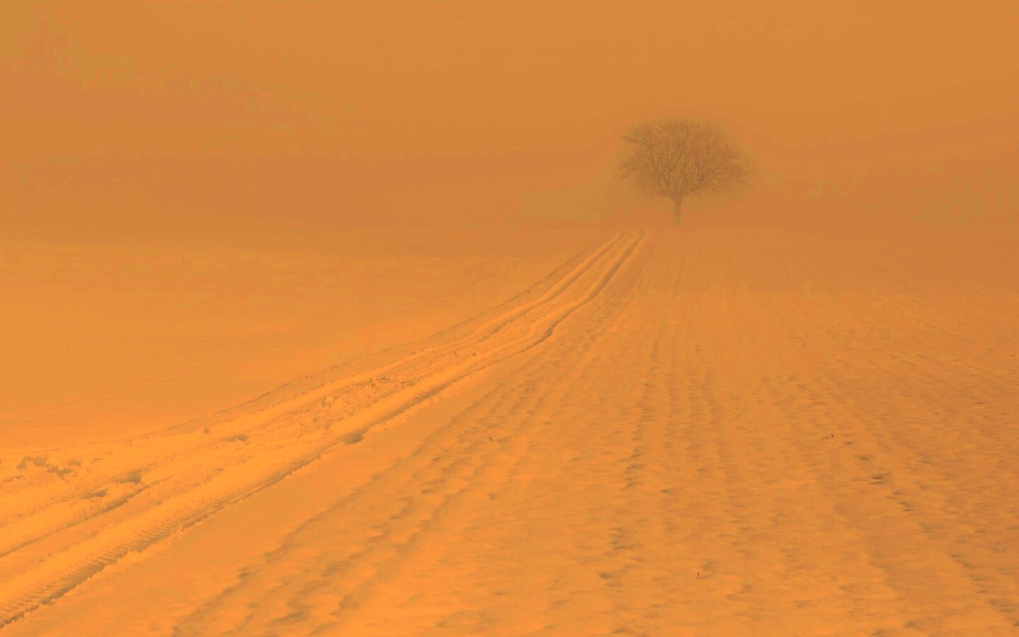 Заснеженное поле обои