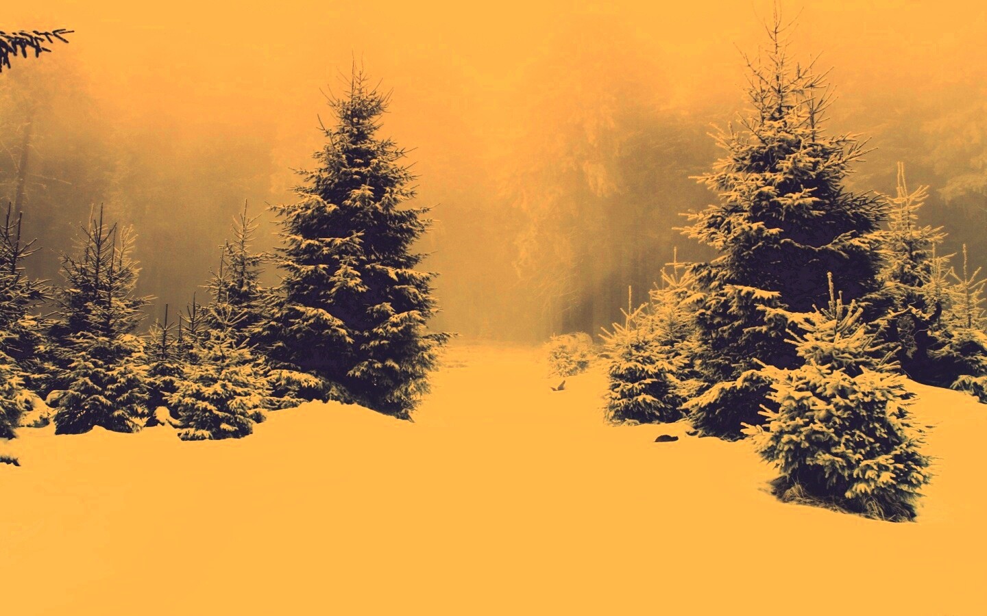Ёлки в сугробах обои