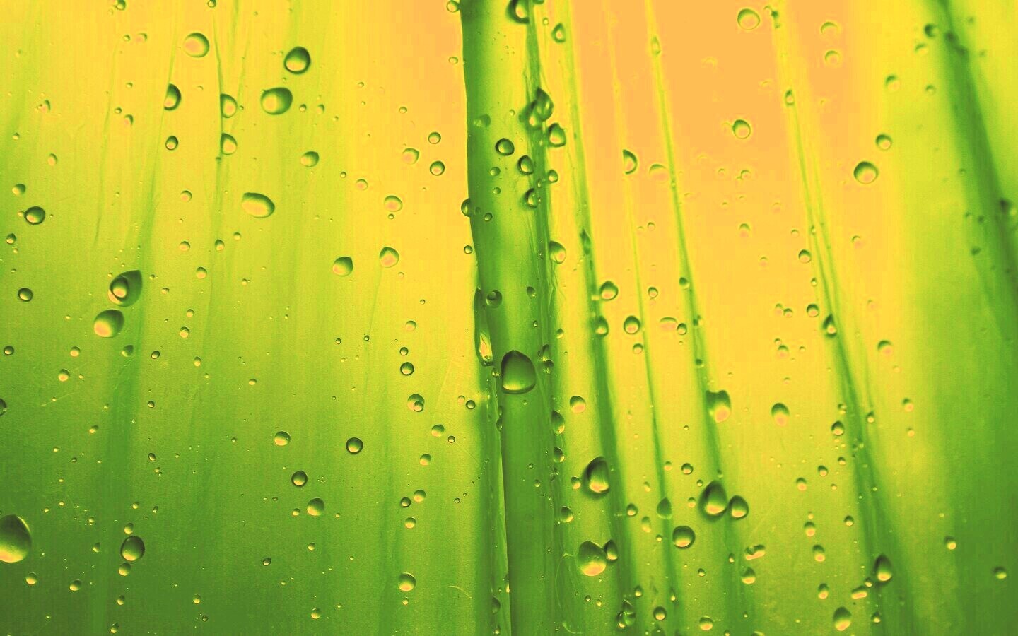 Капли на зеленом пластике обои