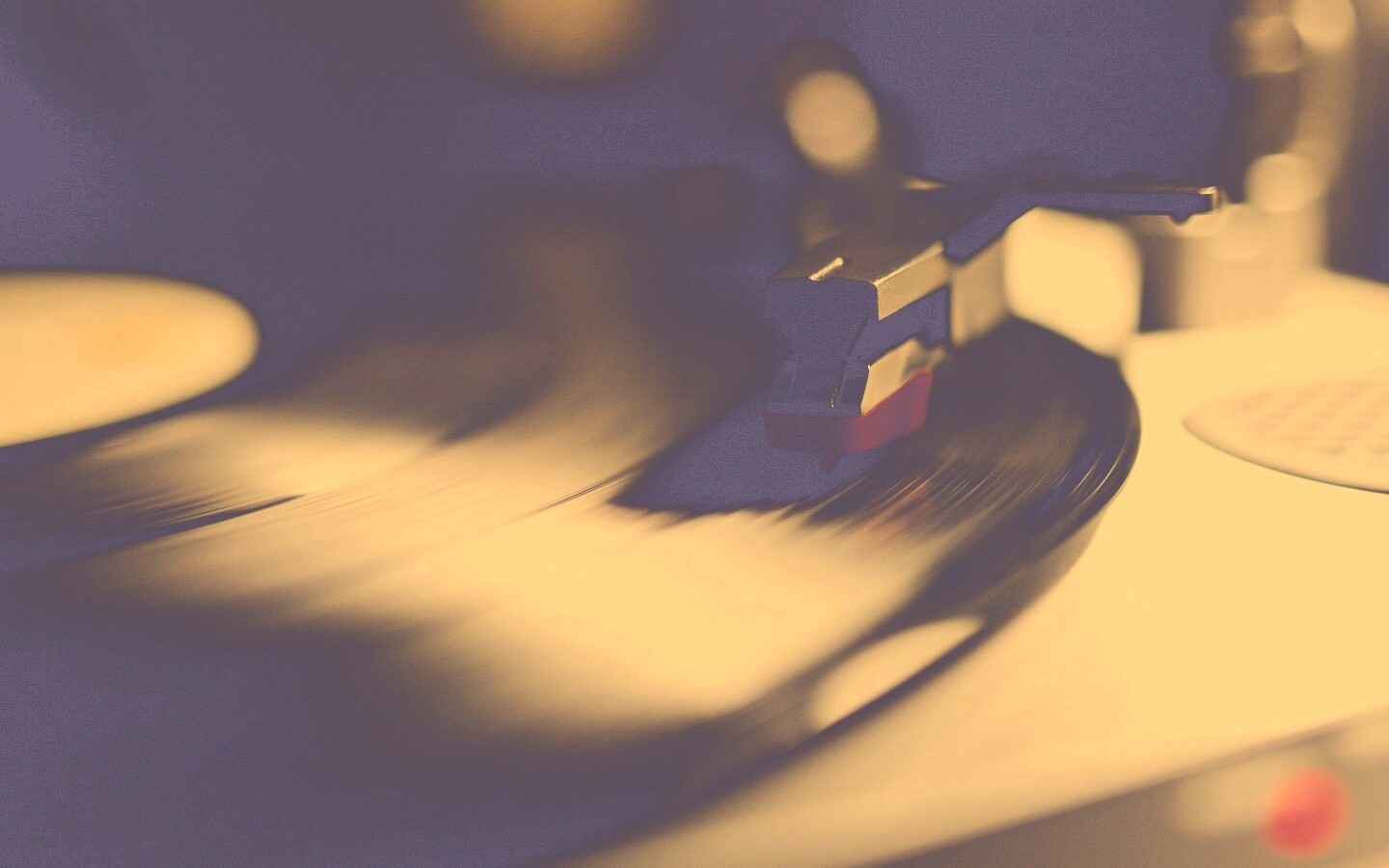 Пластинка обои