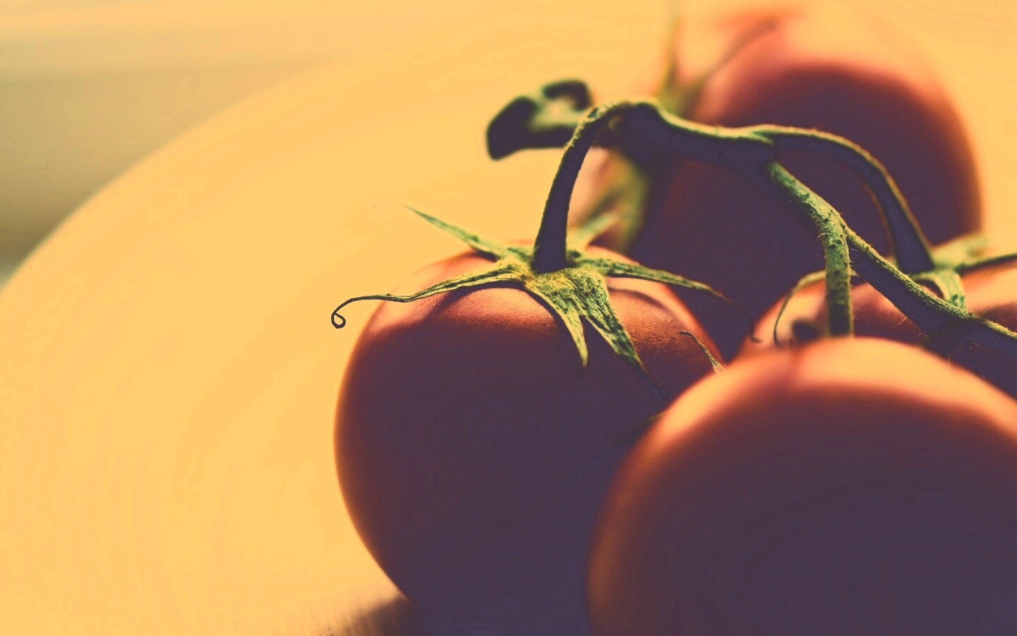 Аппетитные помидоры обои