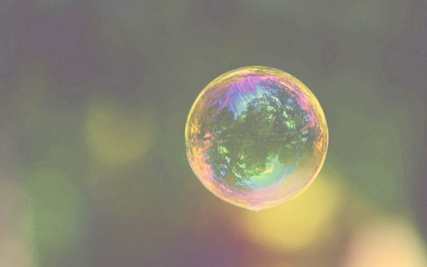 Мыльный пузырь обои