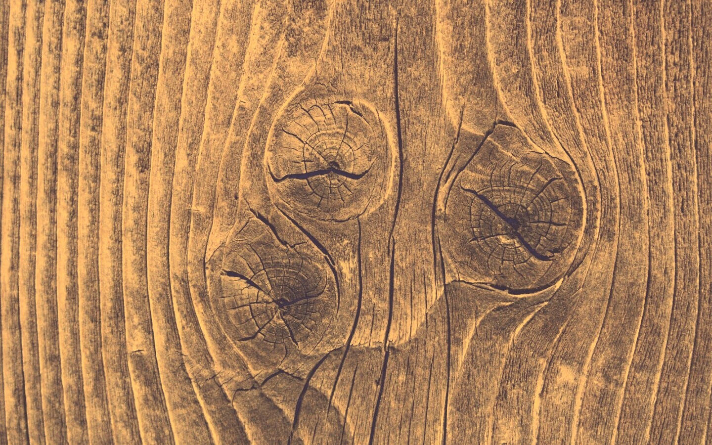 Сучковатое дерево обои