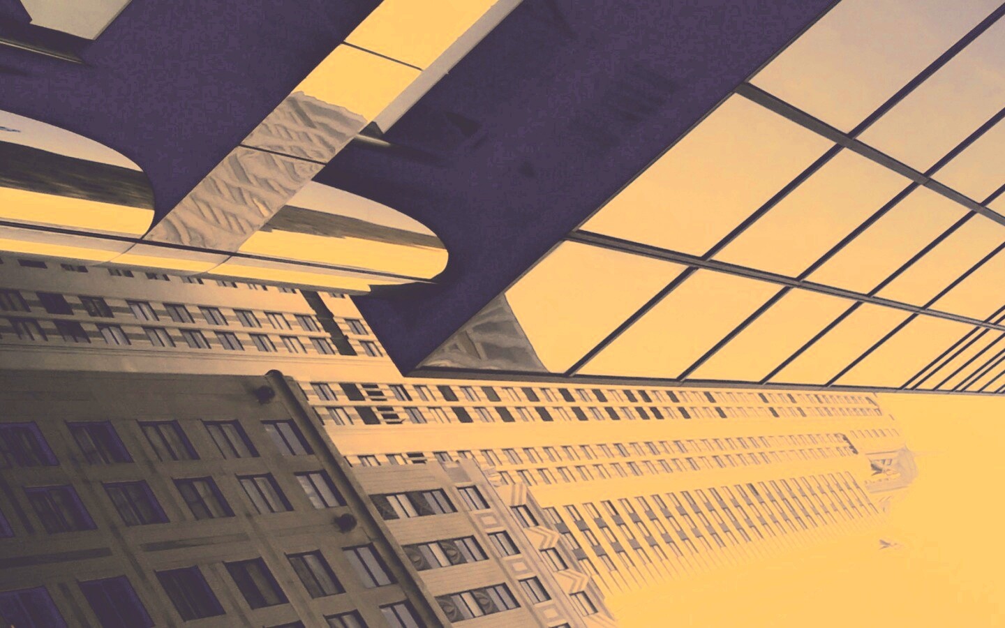 Взгляд вверх обои