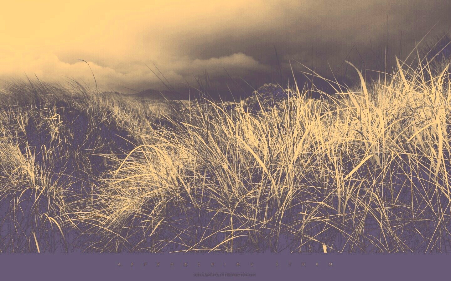 В ожидании шторма обои