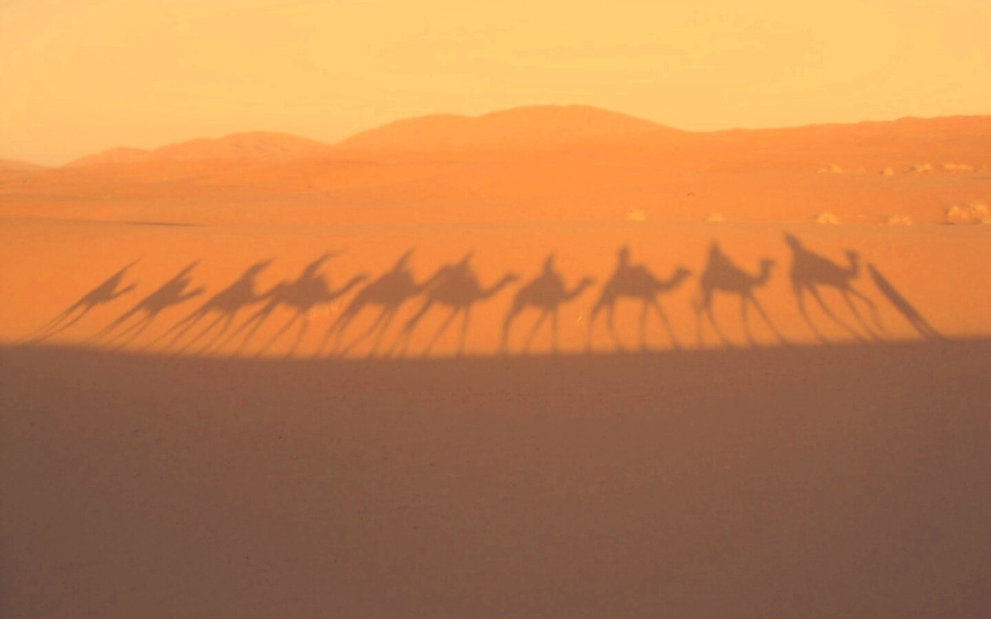 Караван обои