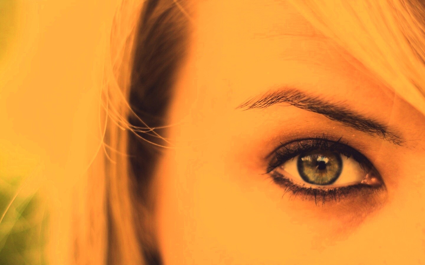 Авторское фото обои