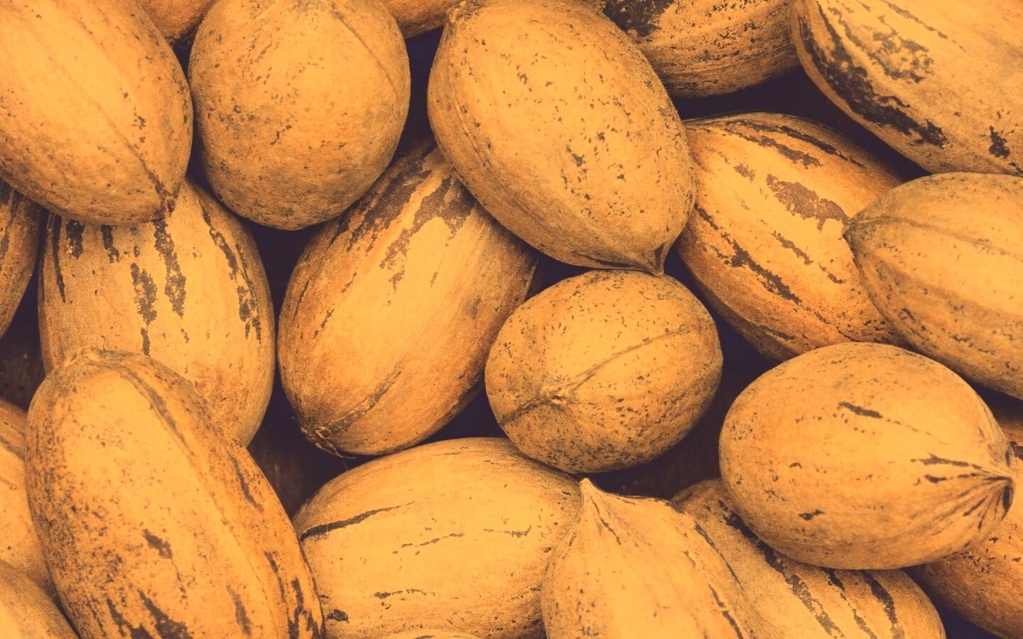 Грецкие орехи обои