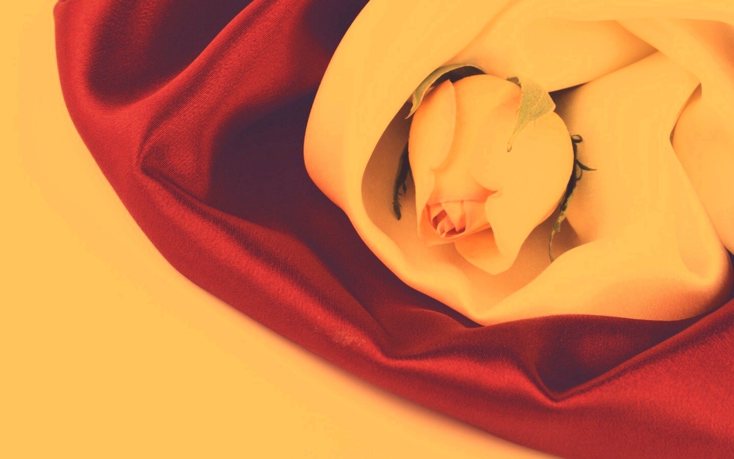 Нераспустившийся цветок розы в шелке обои