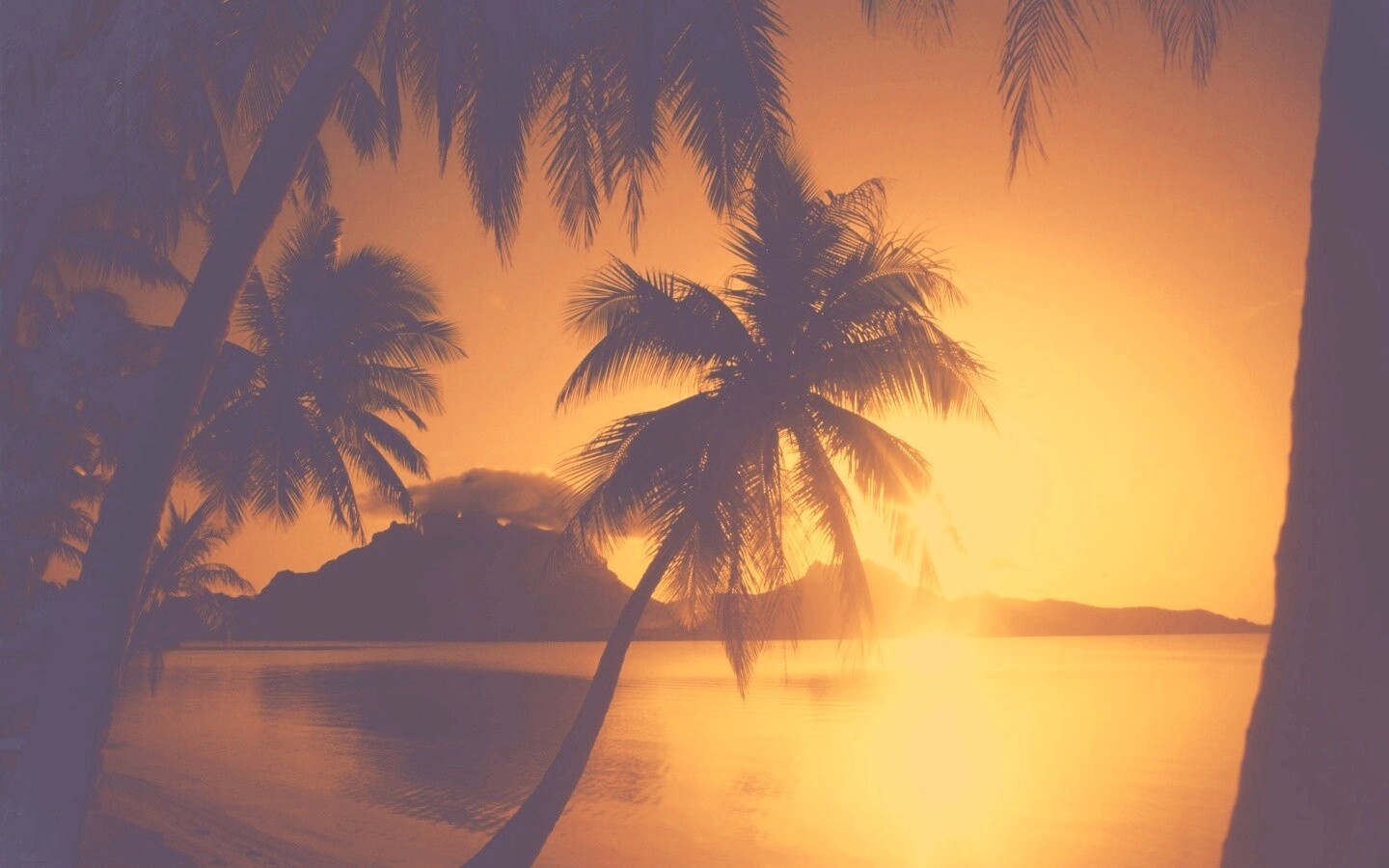 Закат в раю обои