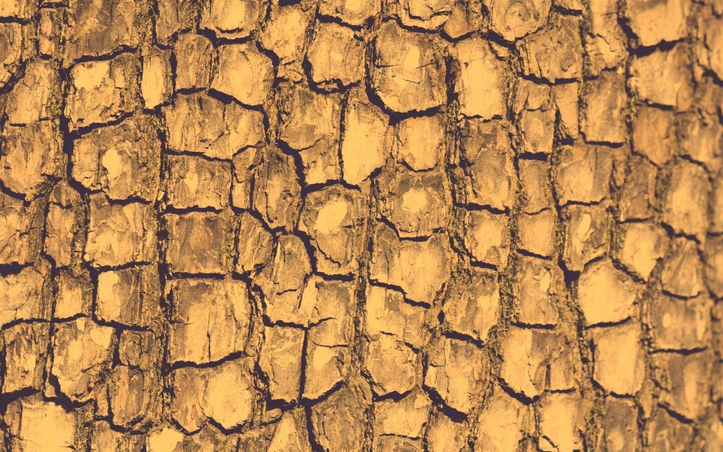 Кора дерева обои