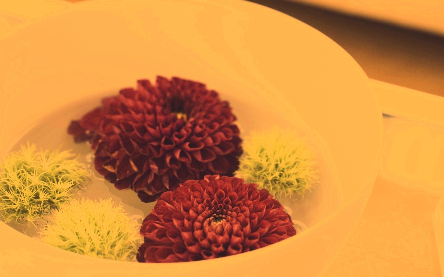 Чаша с цветами обои