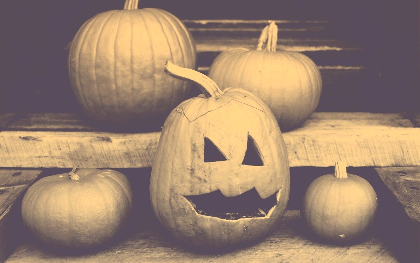 Тыквы на хэллоуин обои
