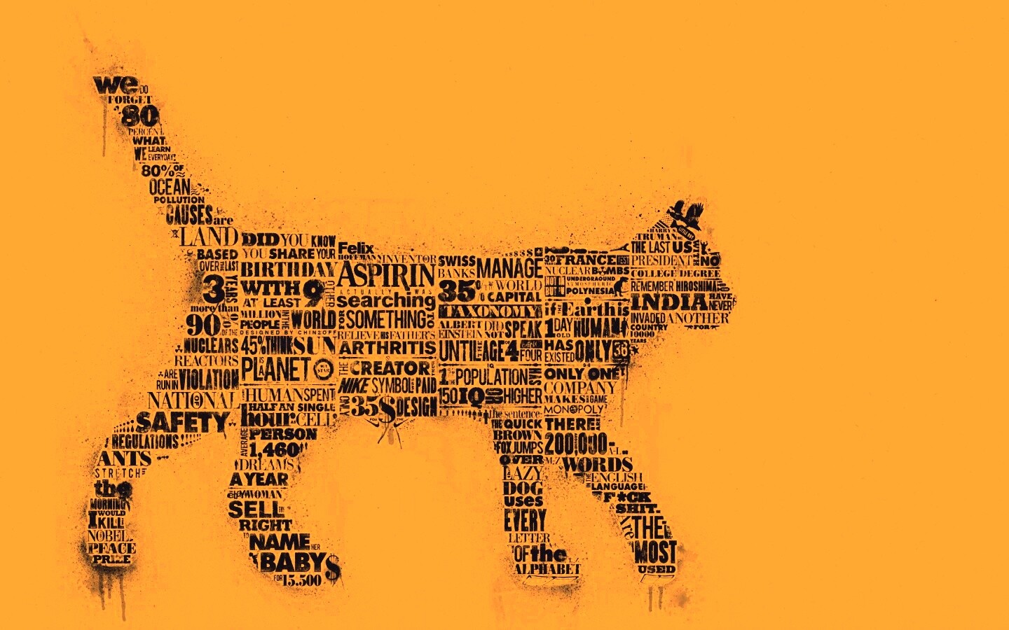 Кот - газета обои