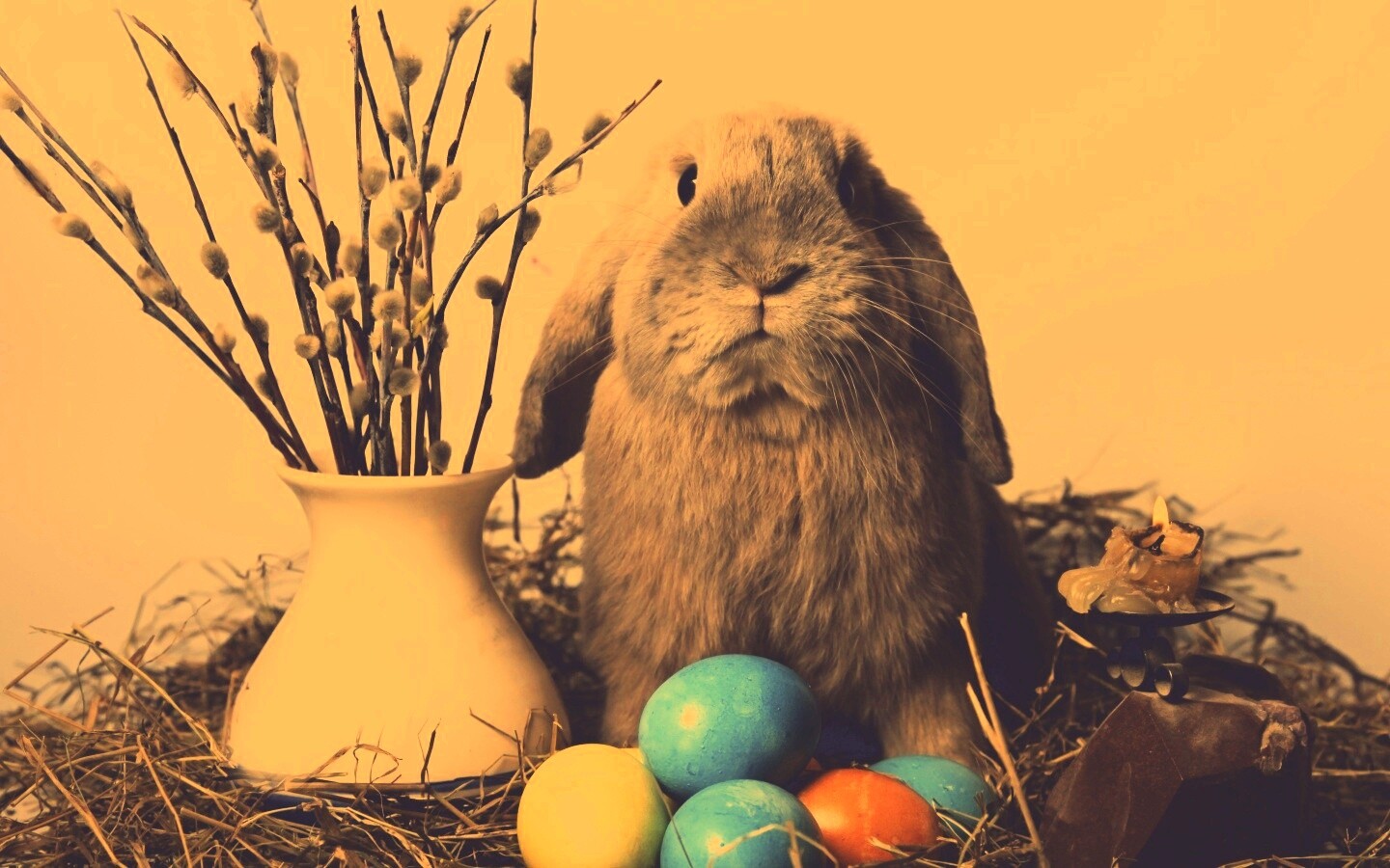 Пасхальный кролик обои