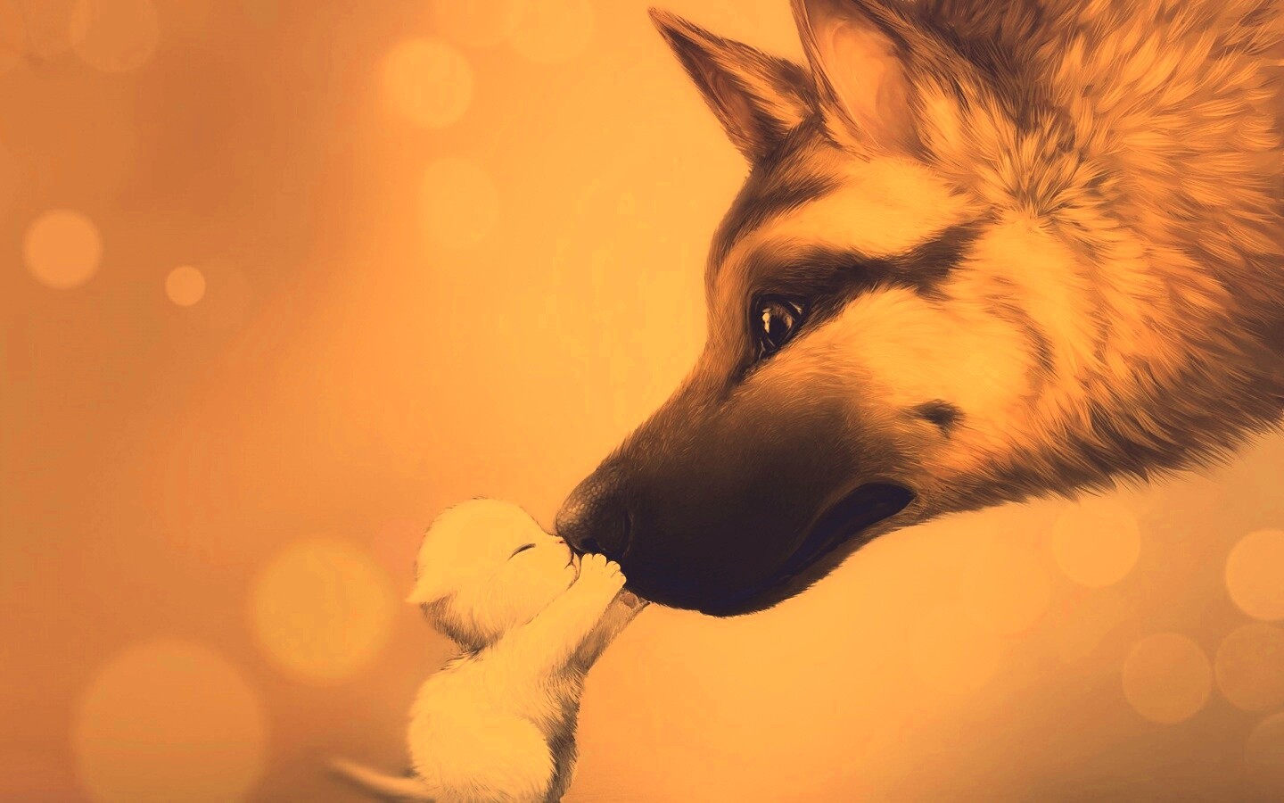 Овчарка и котенок обои