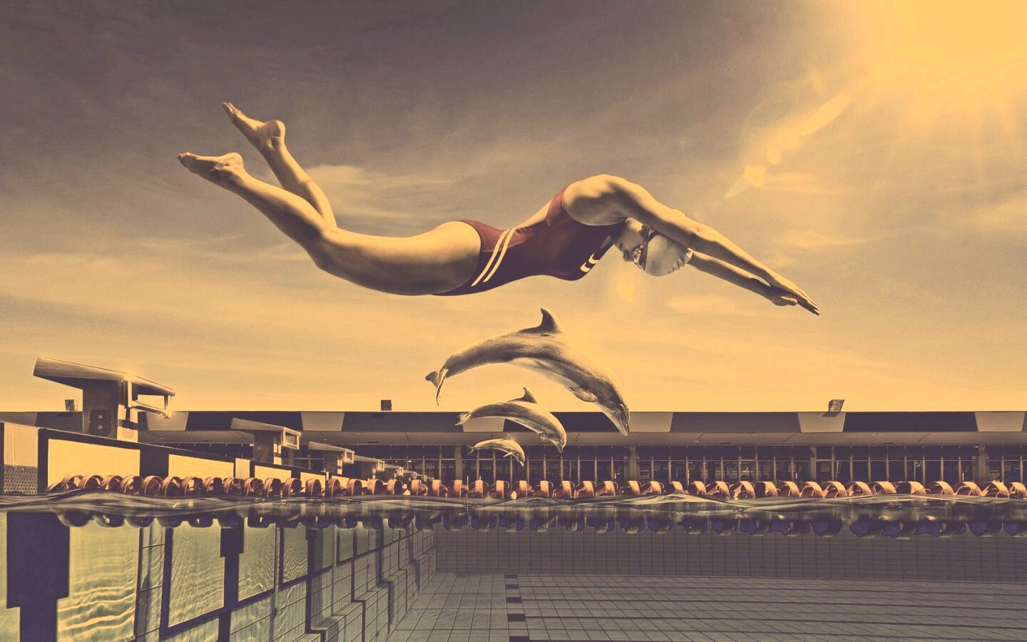 Соревнование обои