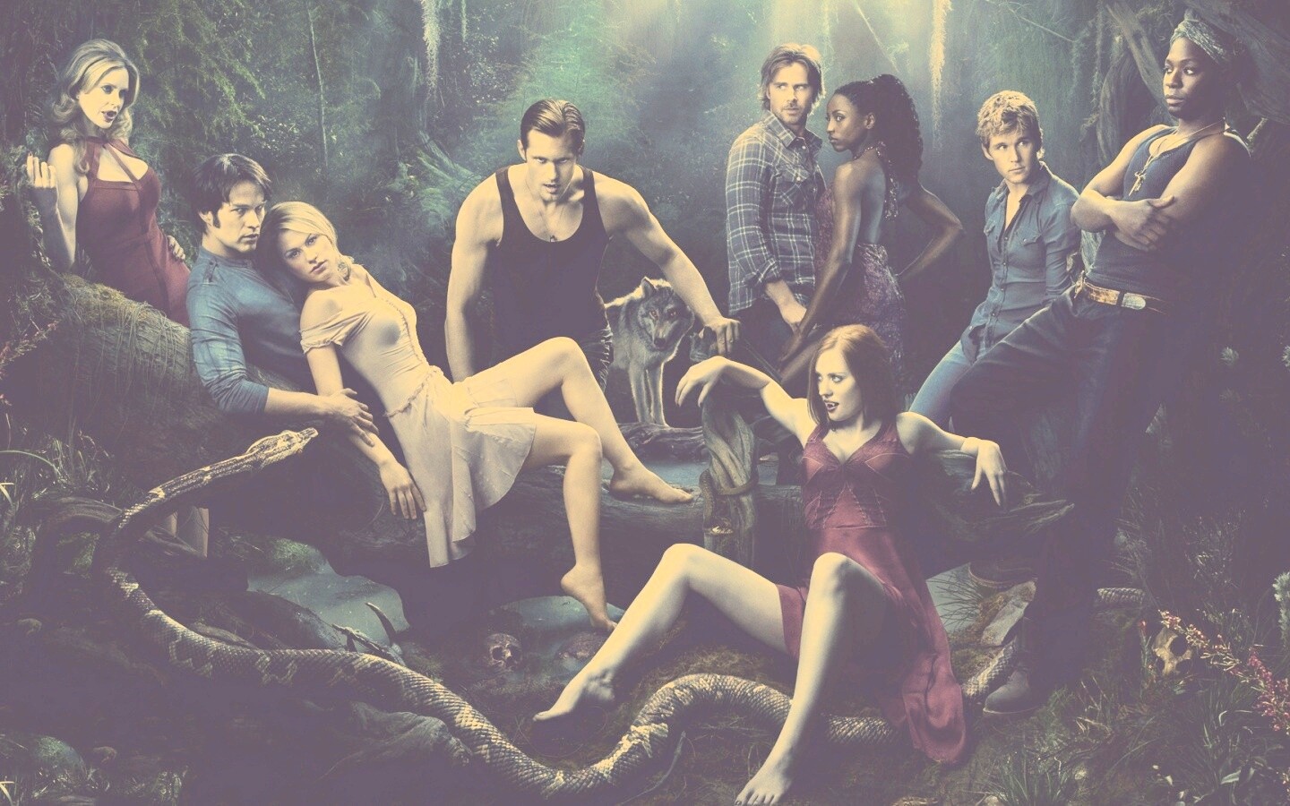 True blood обои