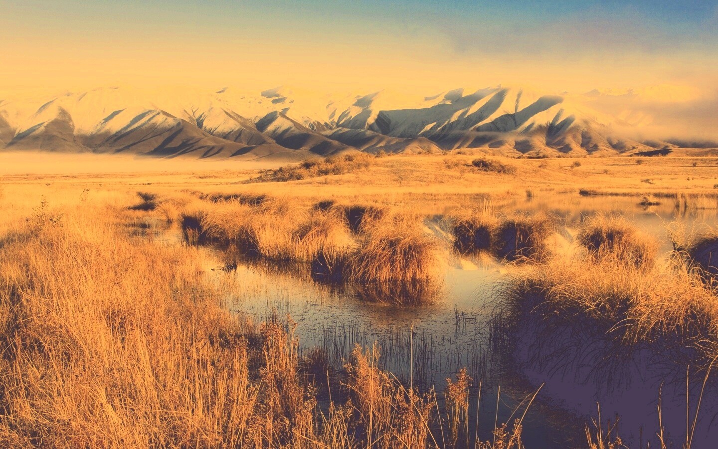 Болото и снежные горы обои