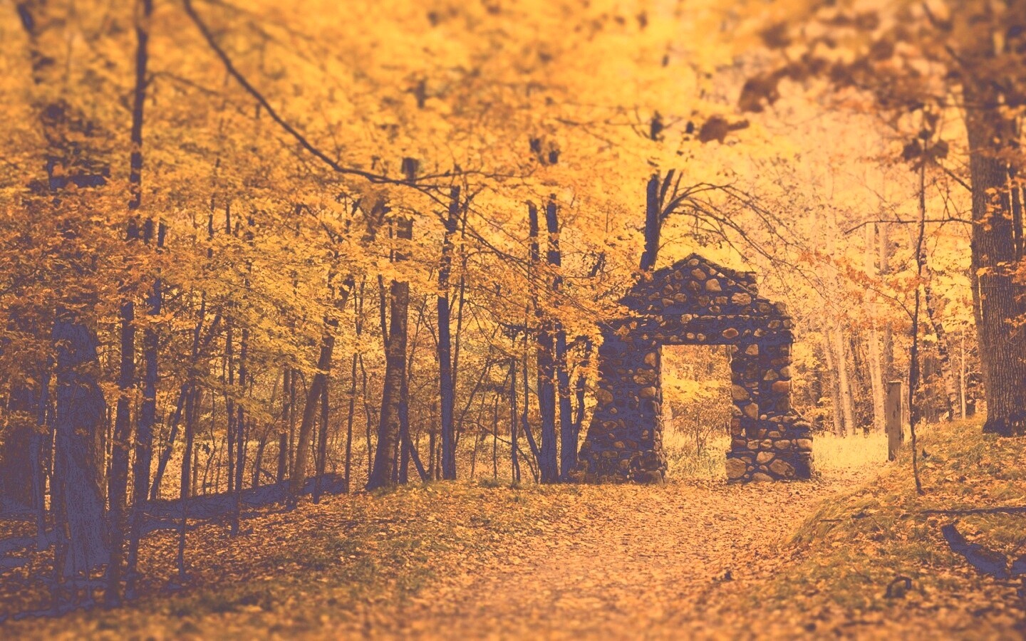 Каменная арка в осеннем лесу обои