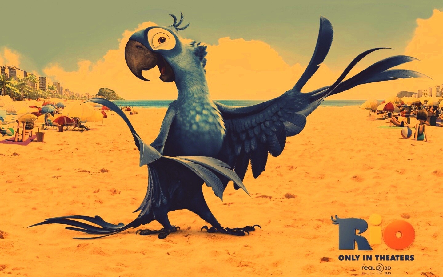 Blu из Rio обои