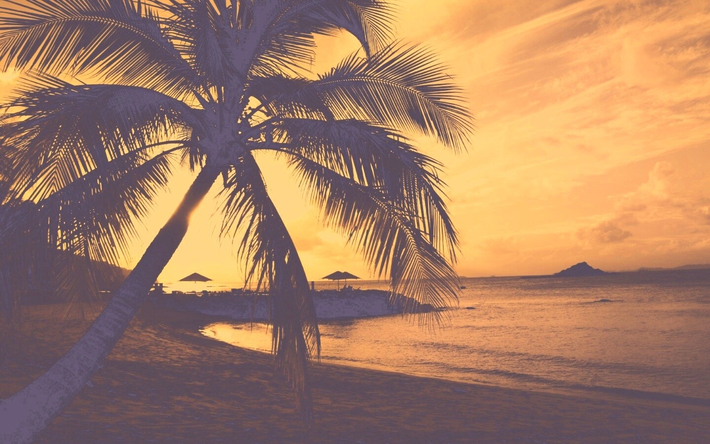 Пляж на закате обои