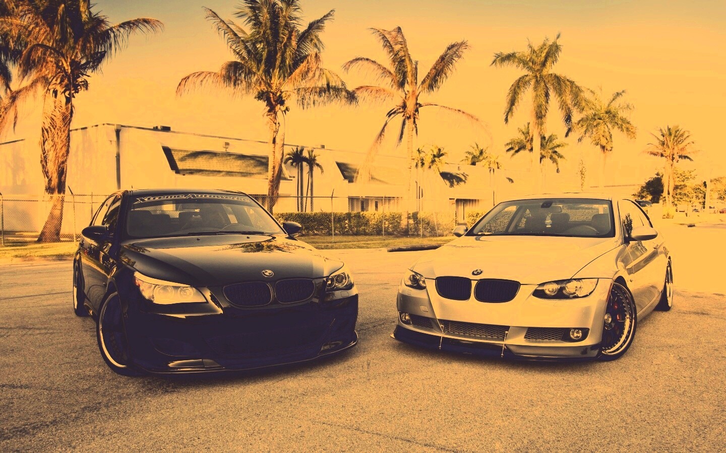 Две БМВ обои
