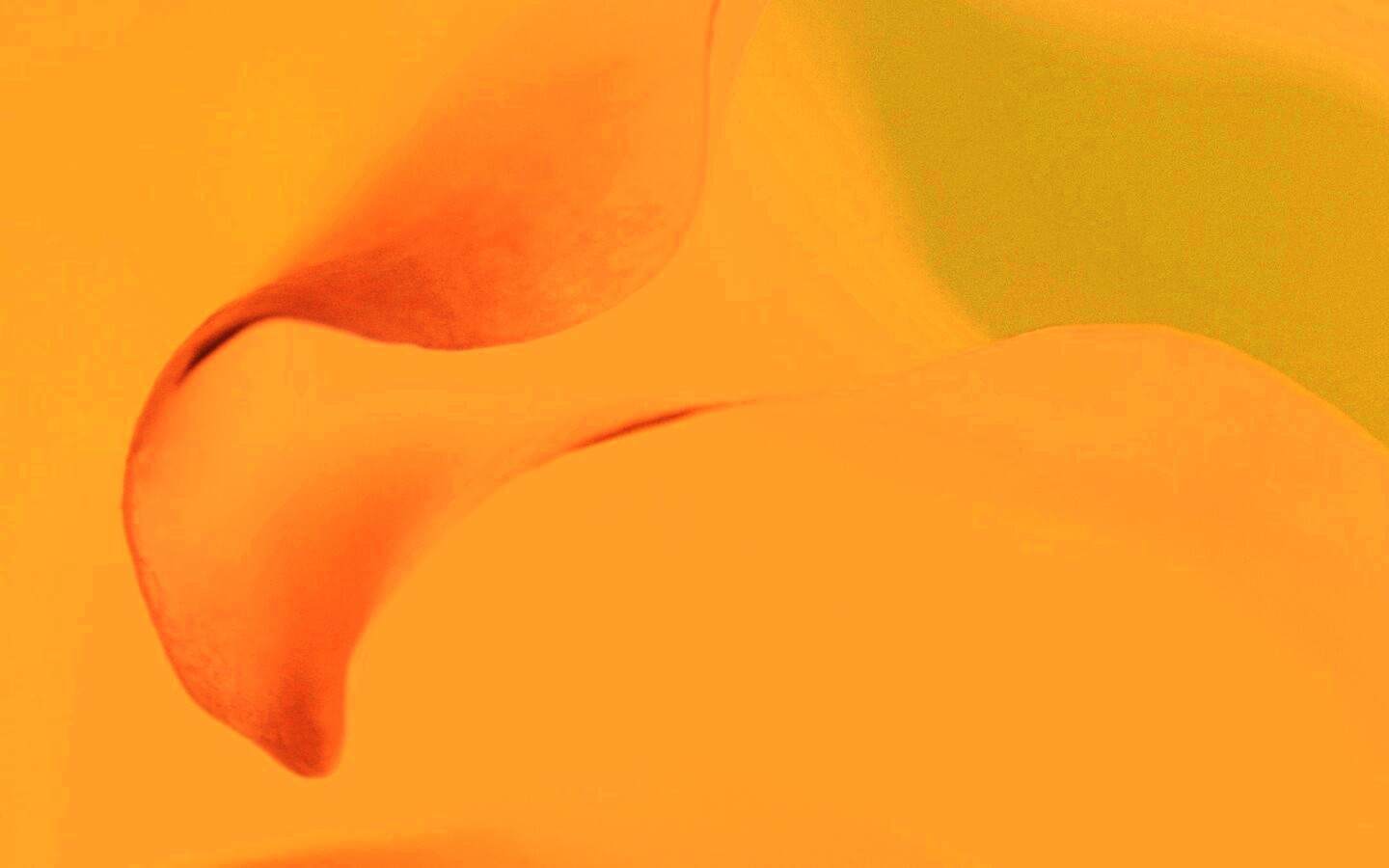 Оттенки природы обои