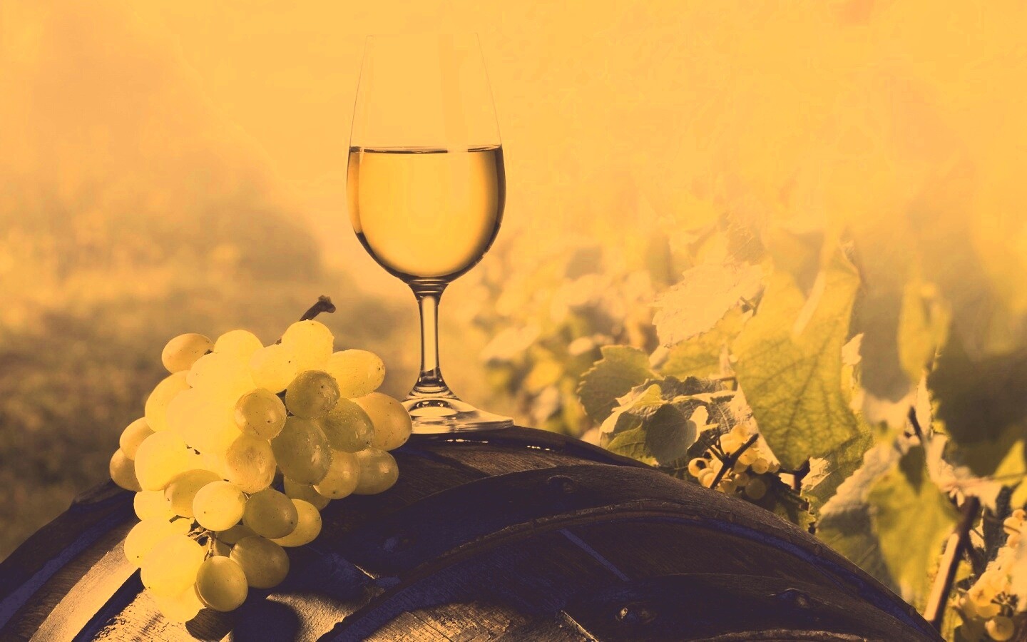 Винная бочка и бокал с белым вином обои