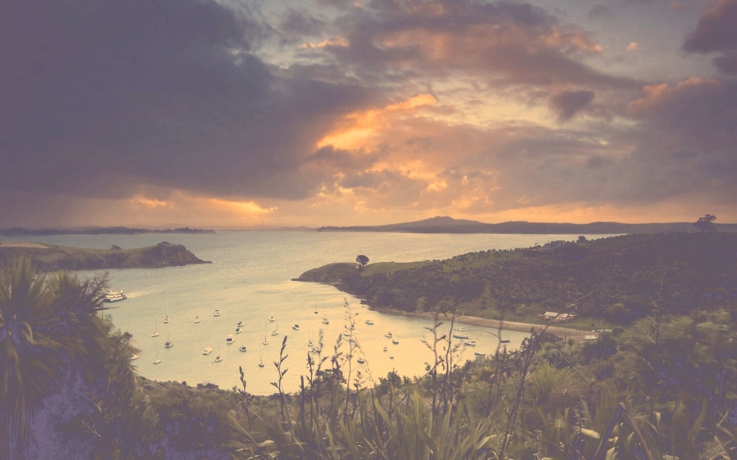 Waiheke Island, New Zealand обои