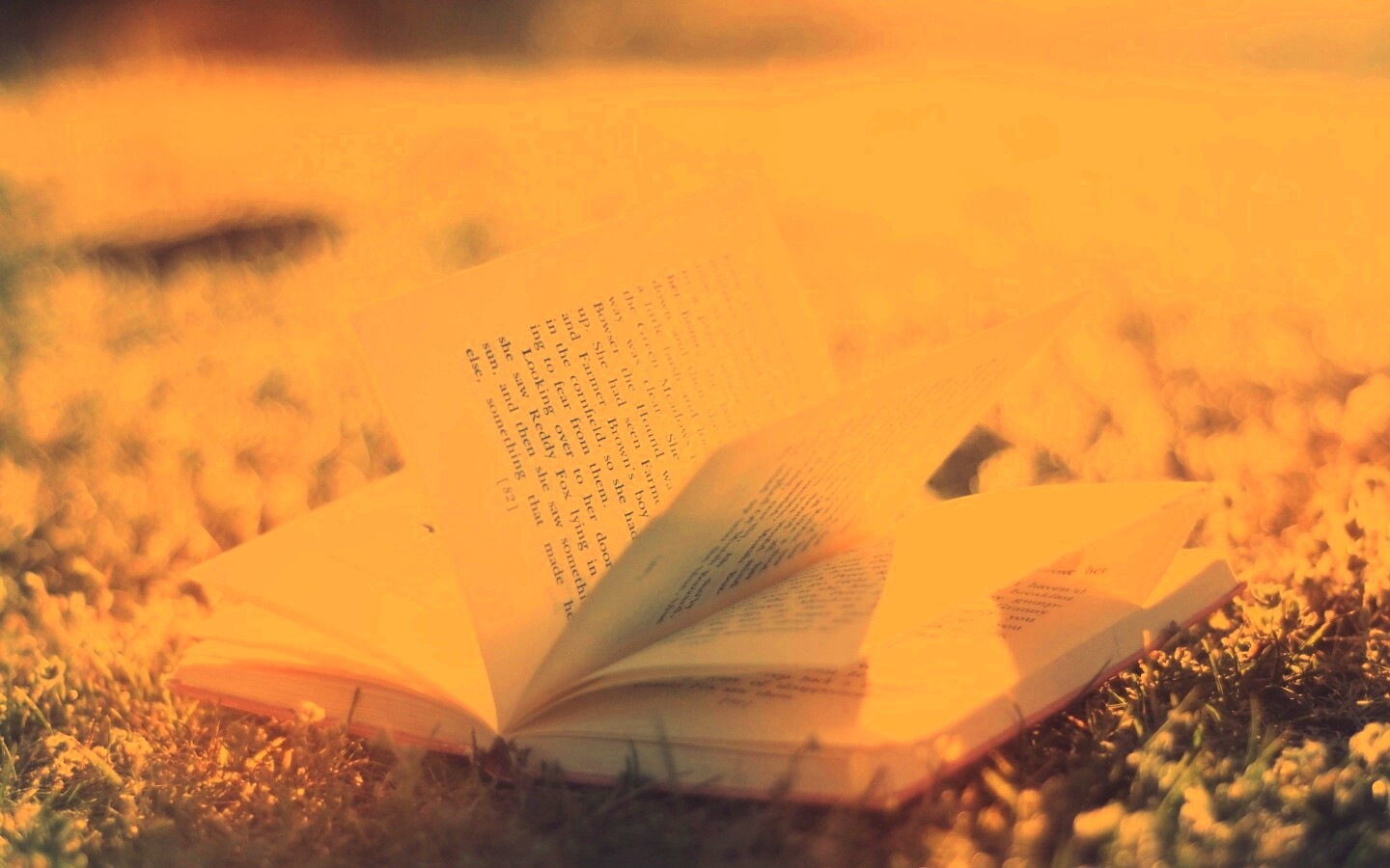 Книга в нежном свете обои