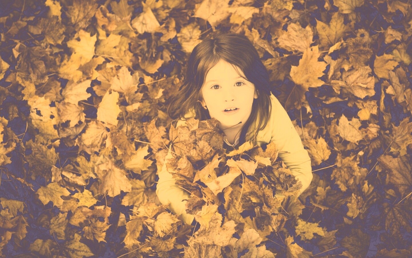 Девочка и осень обои