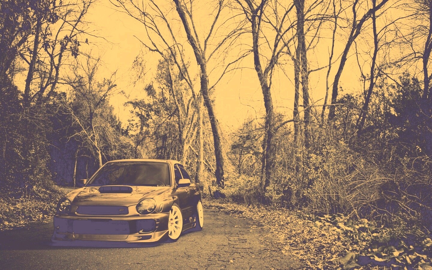 Субару Импреза на лесной дороге обои