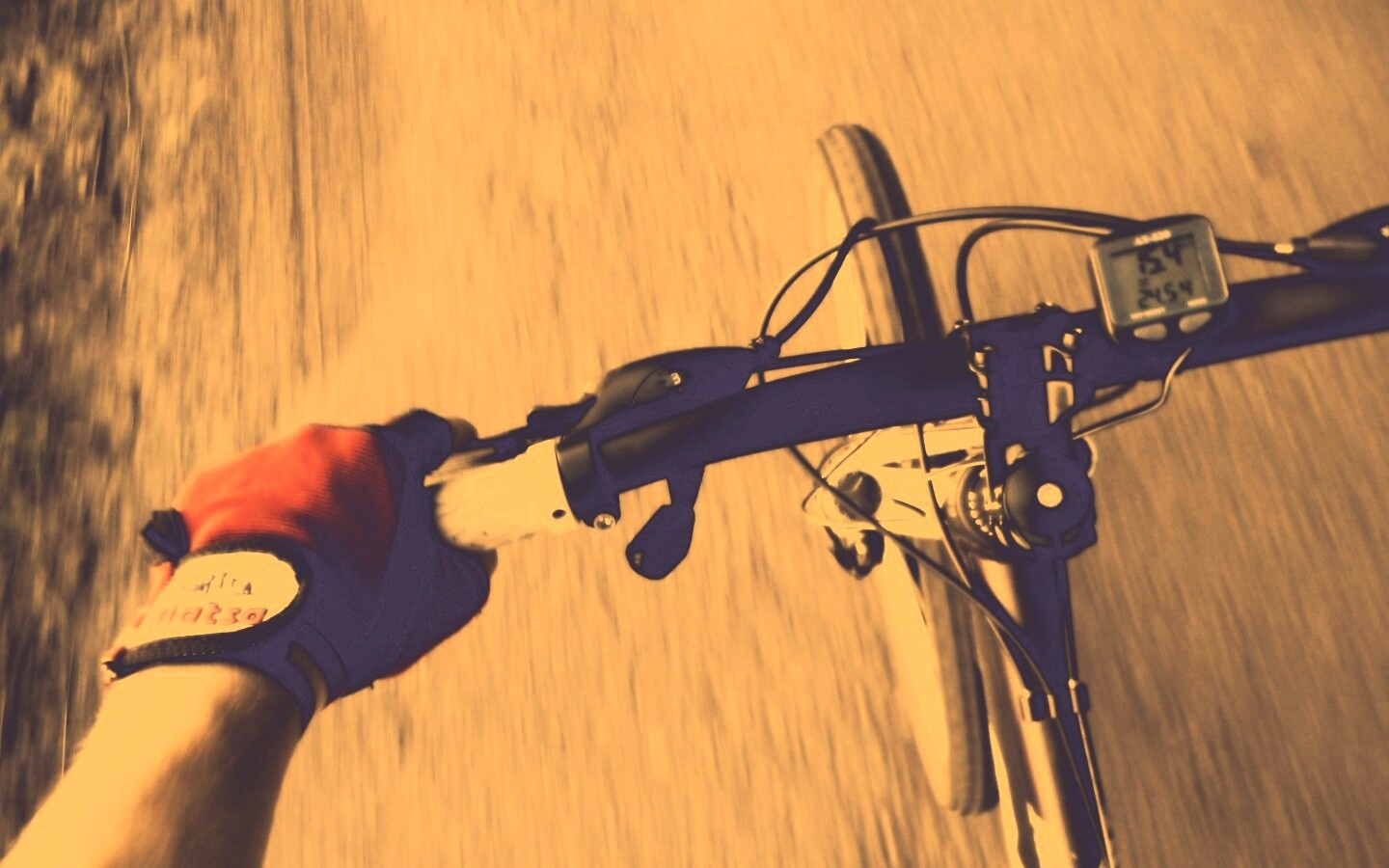 Катание на велосипеде обои