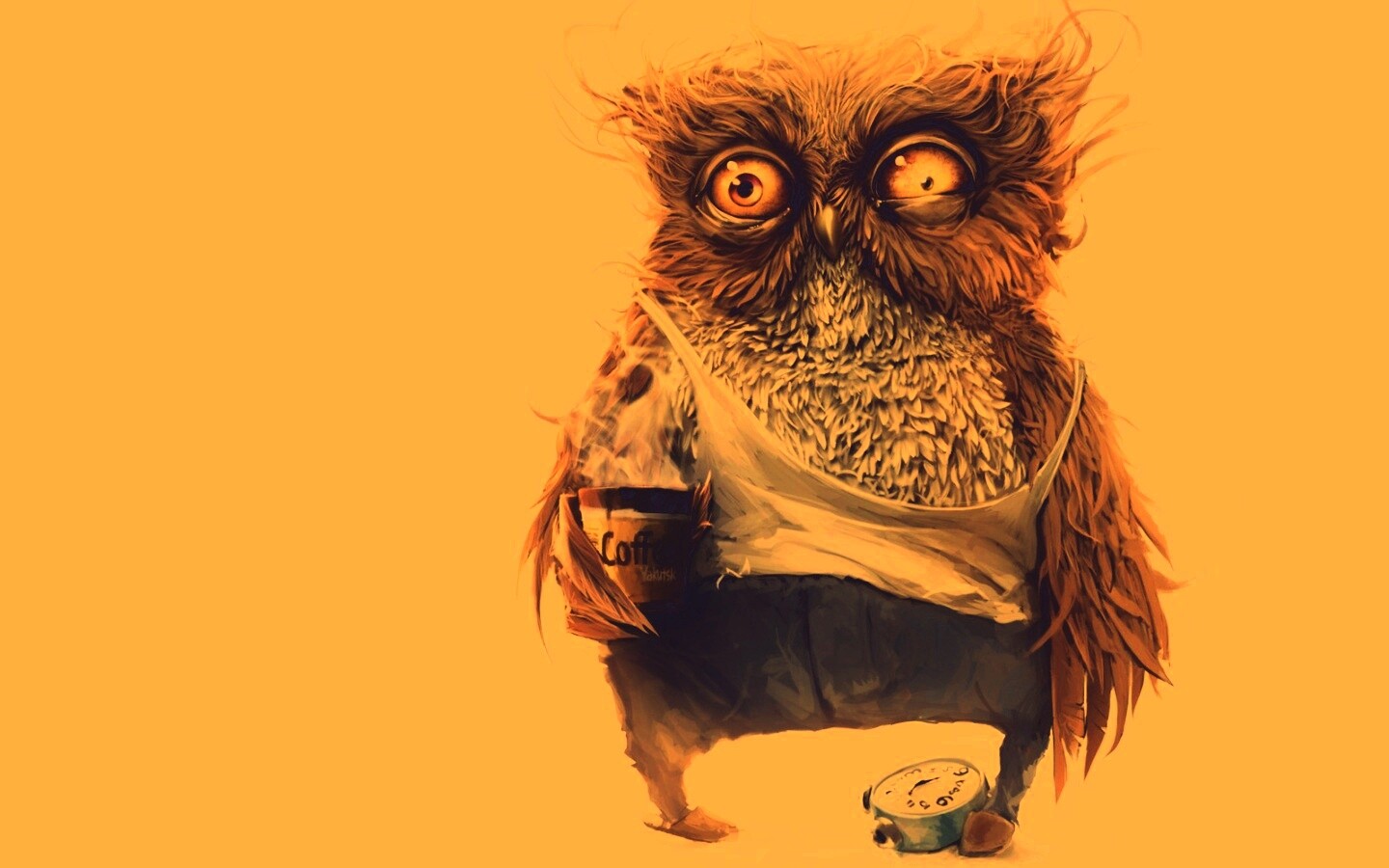 Не спящая сова обои