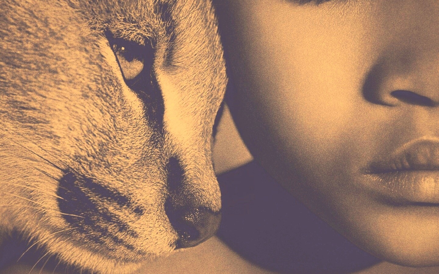 Человек и природа обои