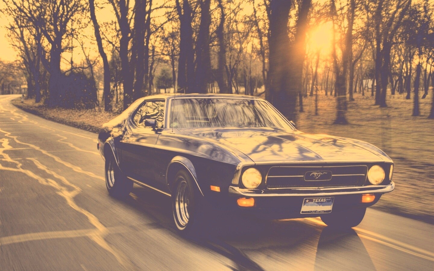 Мустанг обои