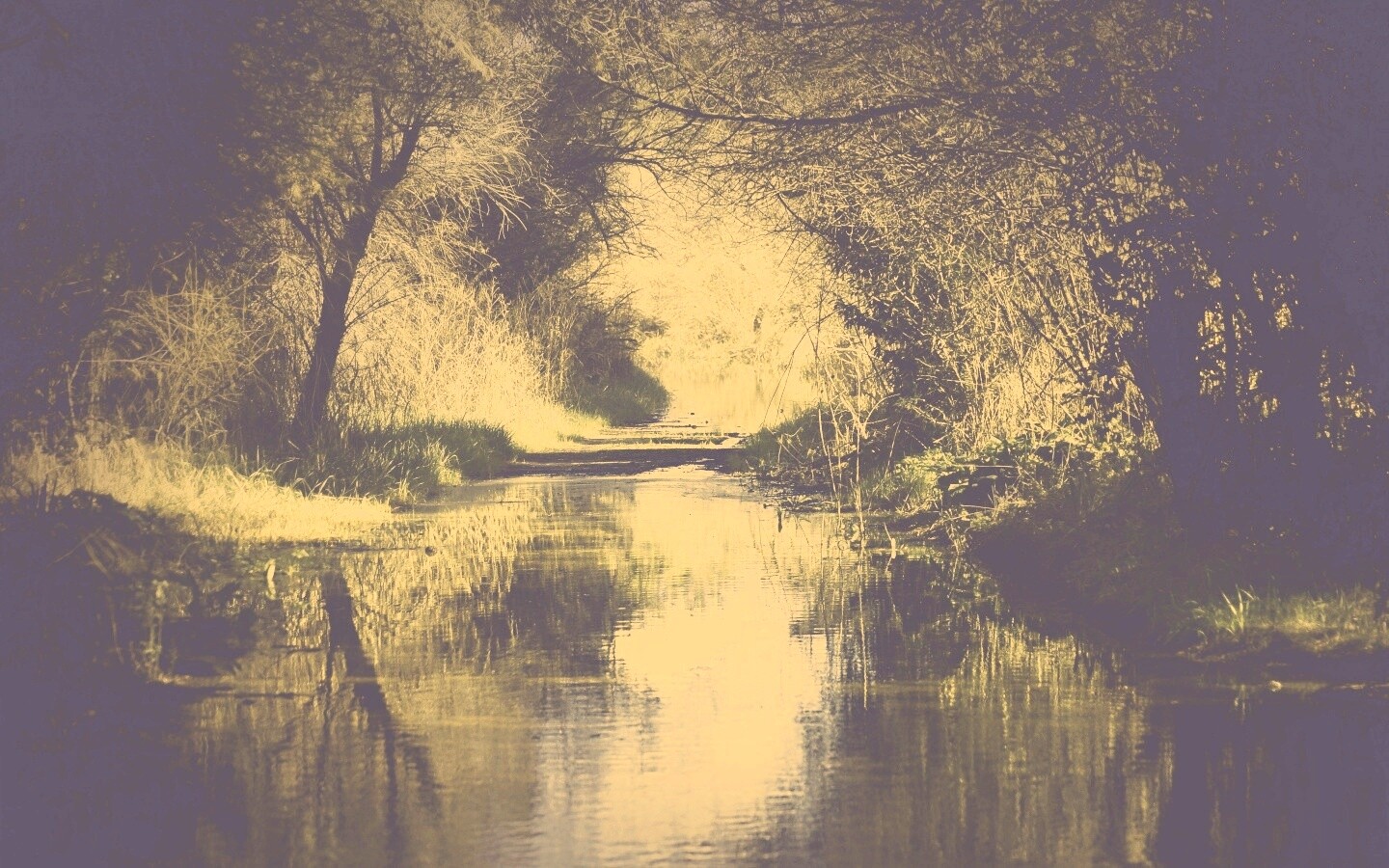 Лесная заросшая река обои