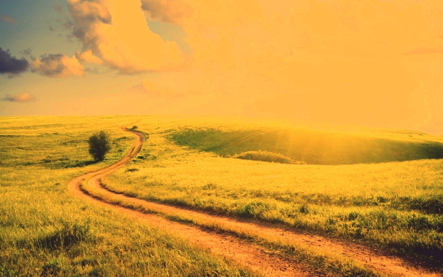 Дорога через луг обои