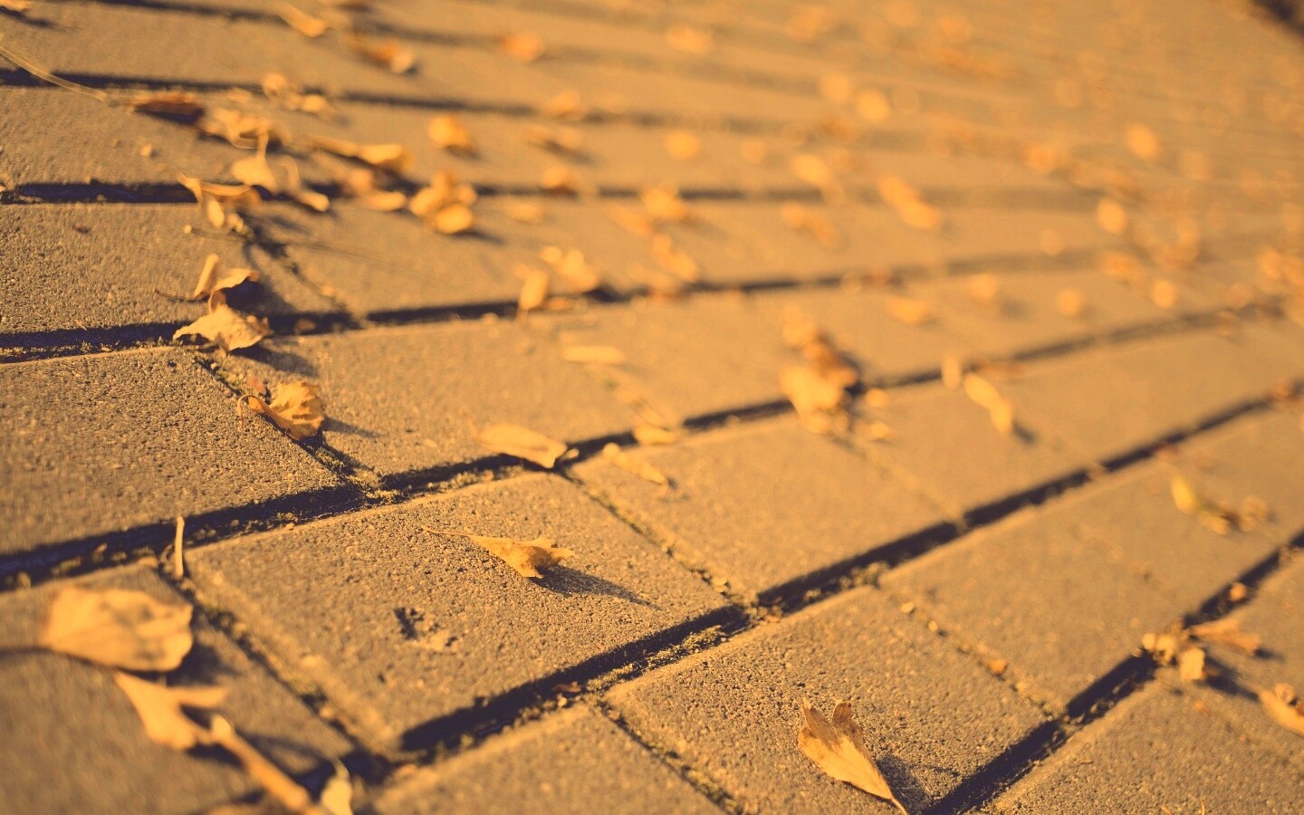 Тротуар обои