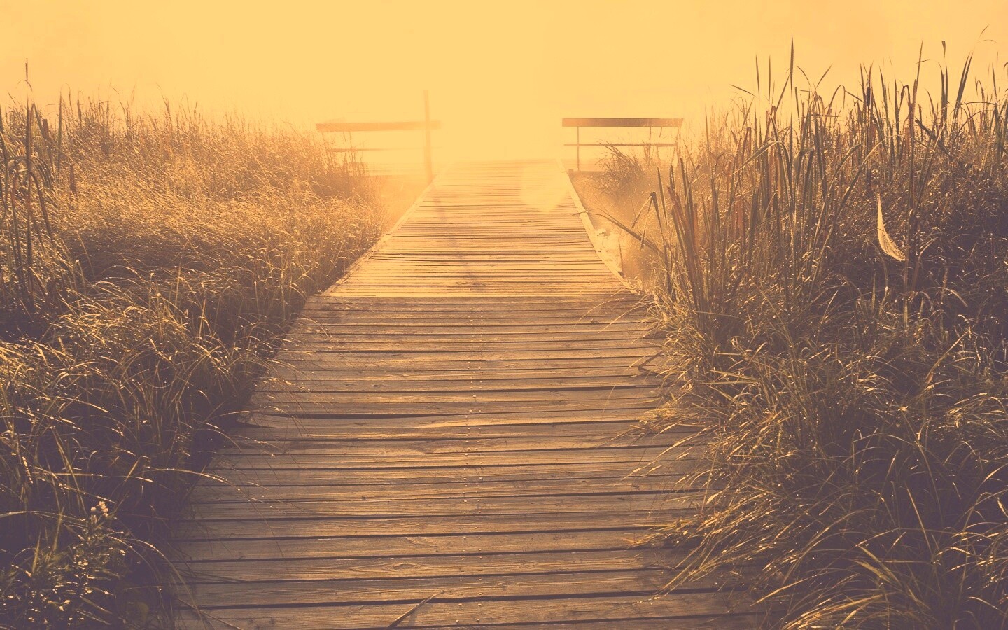 Выход к реке обои