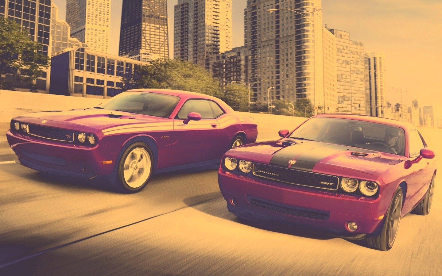 Два розовых мускулкара обои