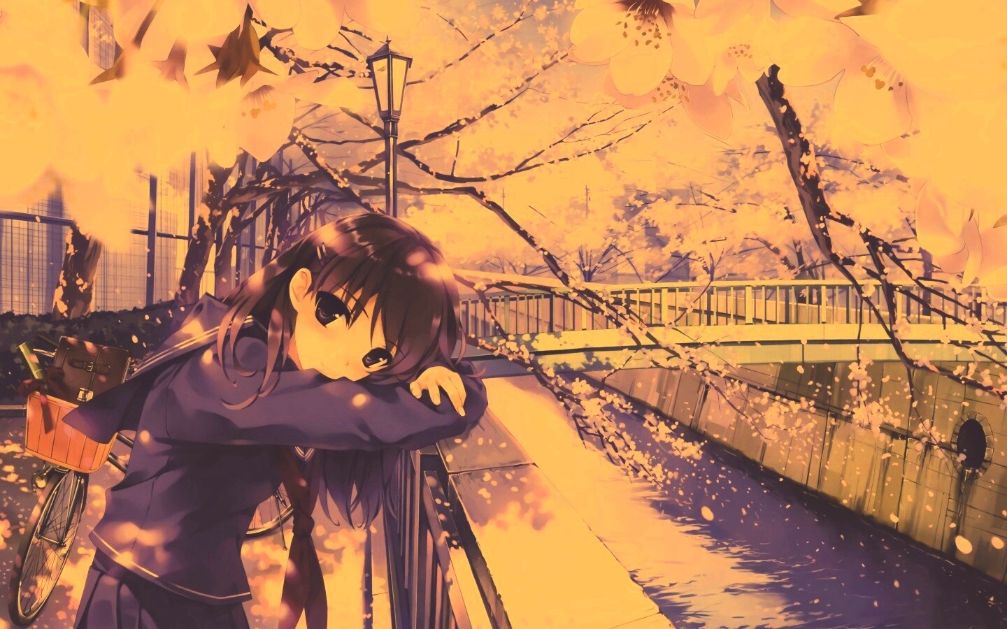 Девушка среди лепестков сакуры обои