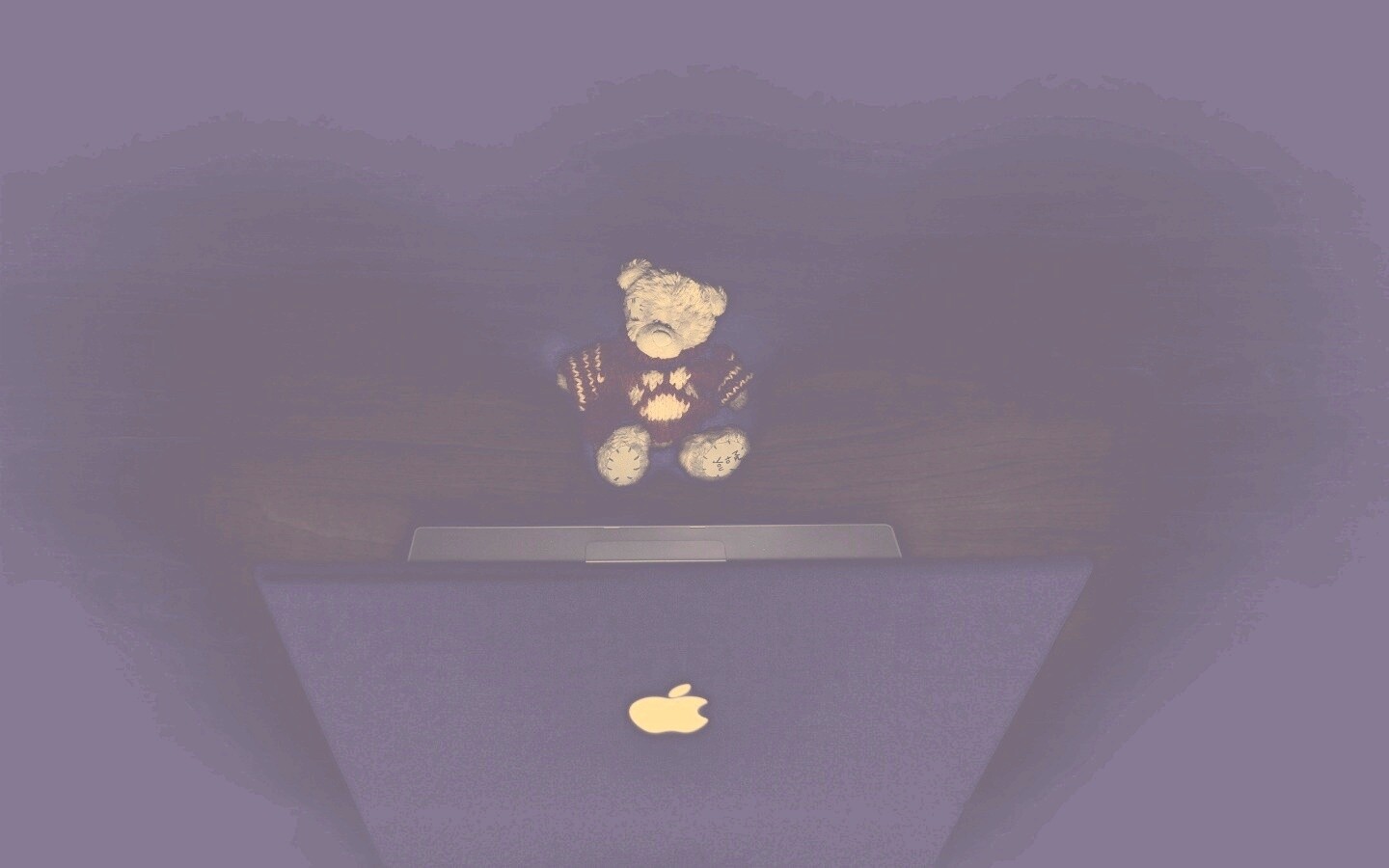 Плюшевый мишка за ноутбуком обои