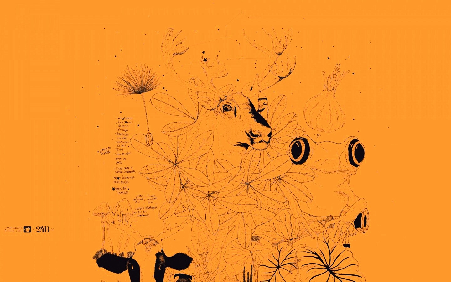 Животные на рабочий стол Apple обои