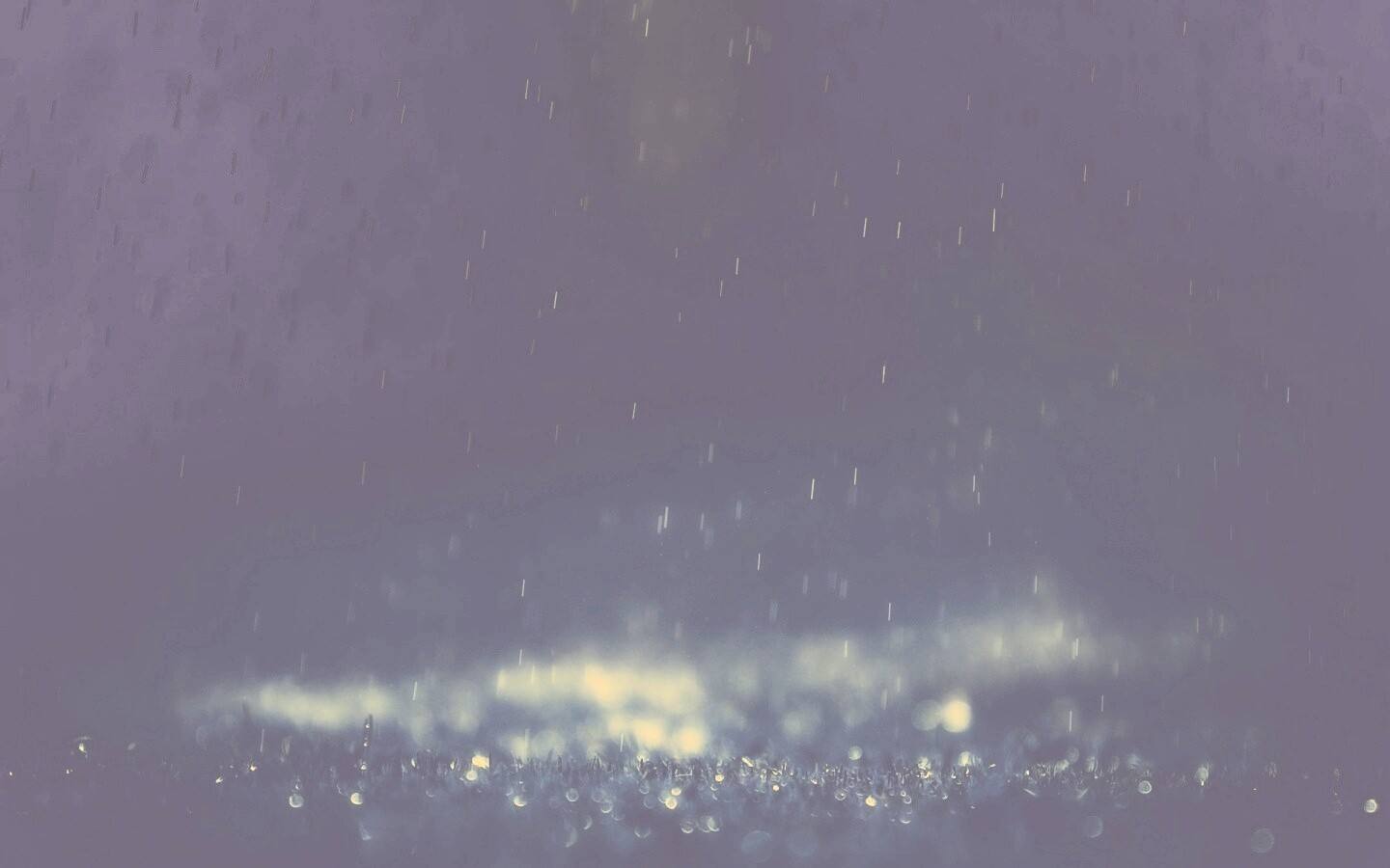 Макро фото дождя обои