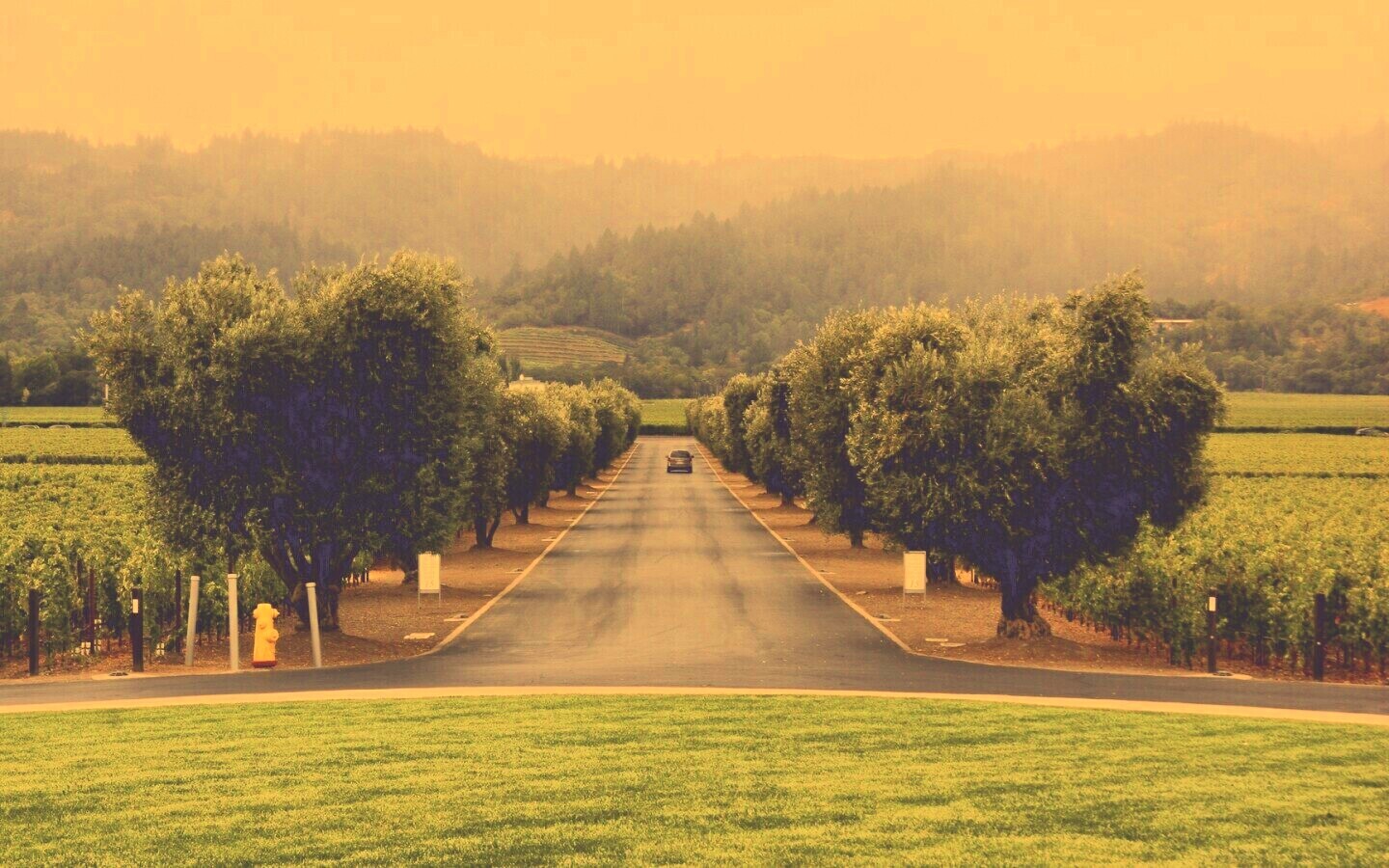 Сельский пейзаж обои